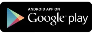 Google play store icon