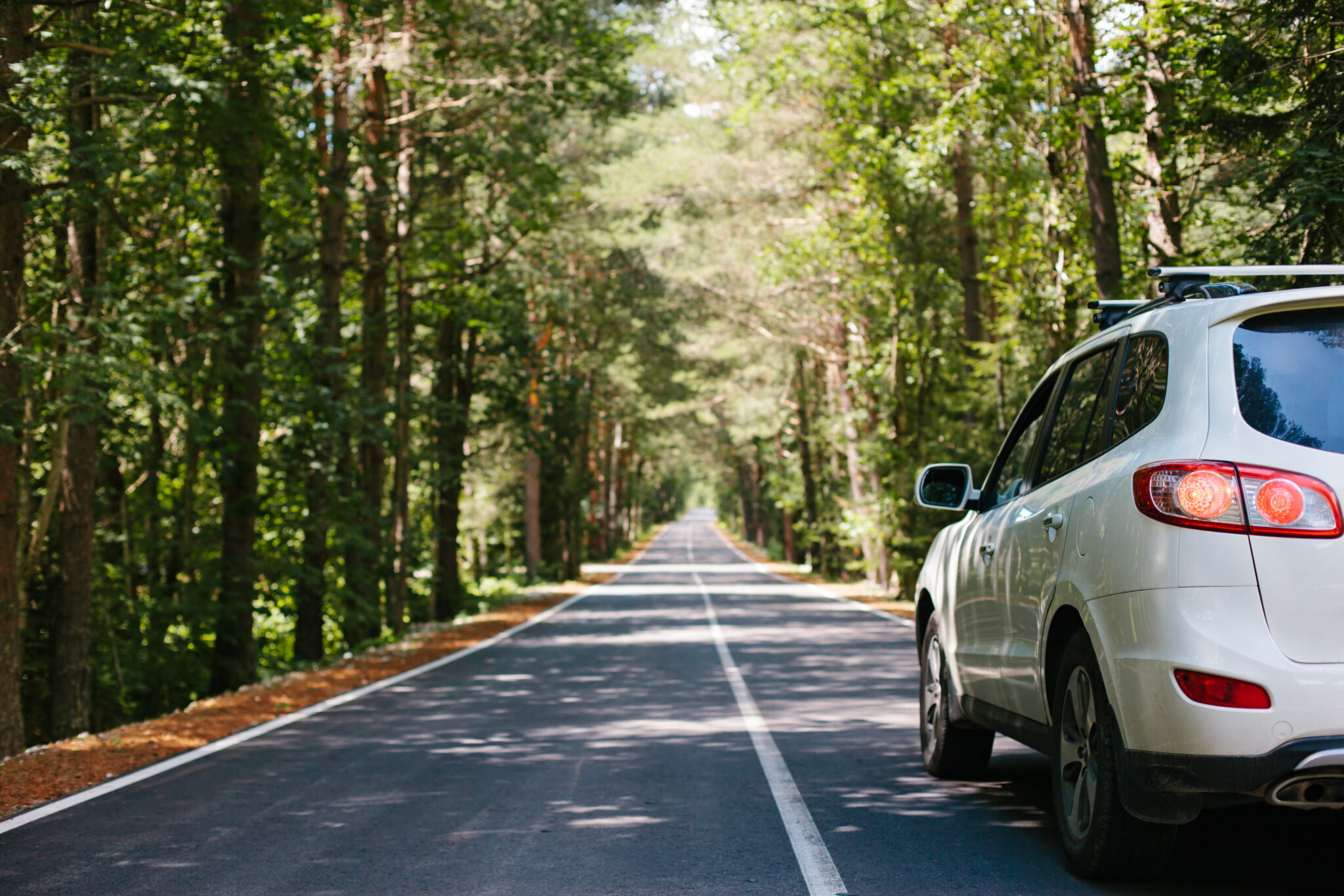 Driving car on a forest asphalt road among trees